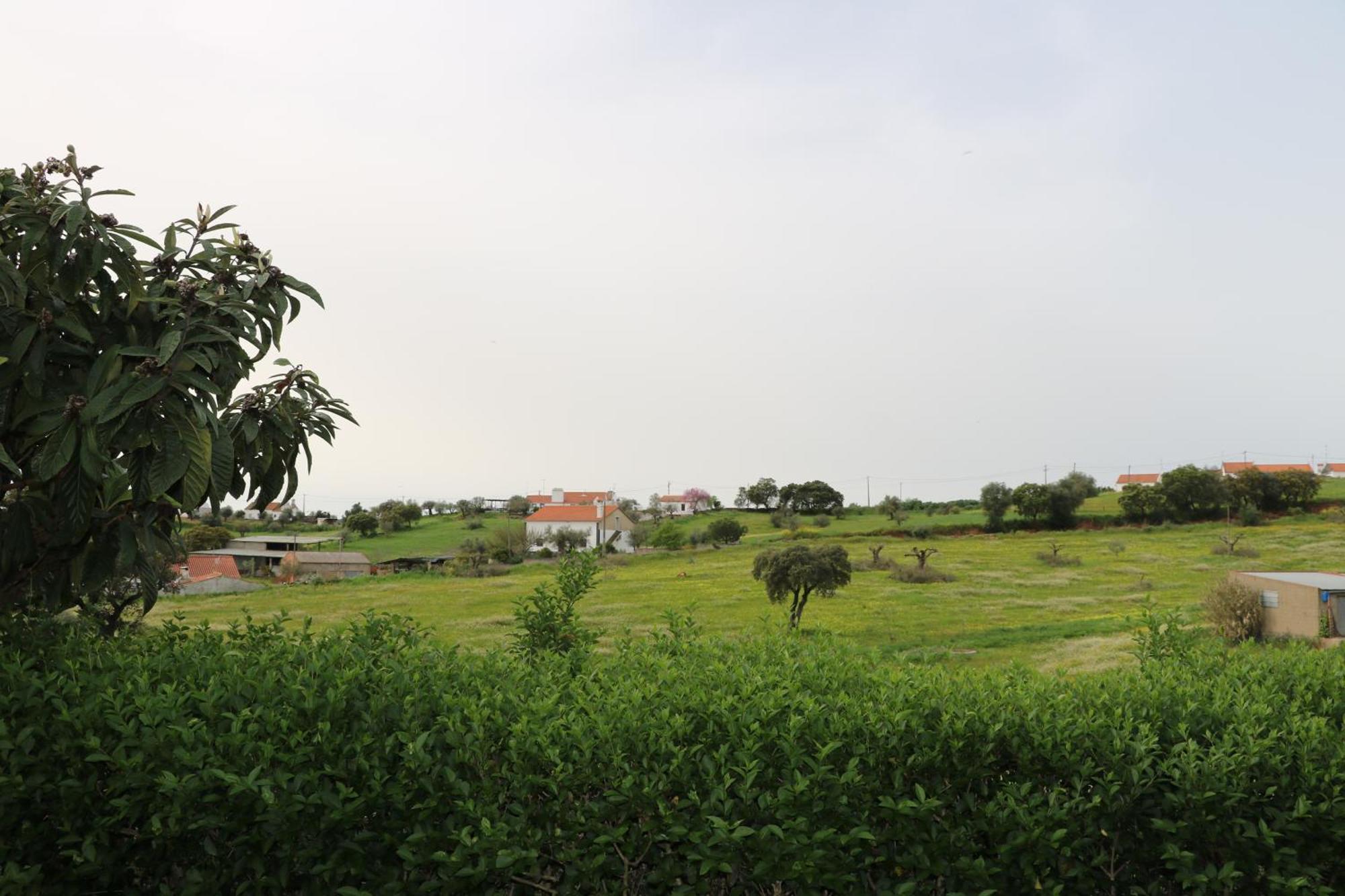 C M Casa De Mares Local Country house *