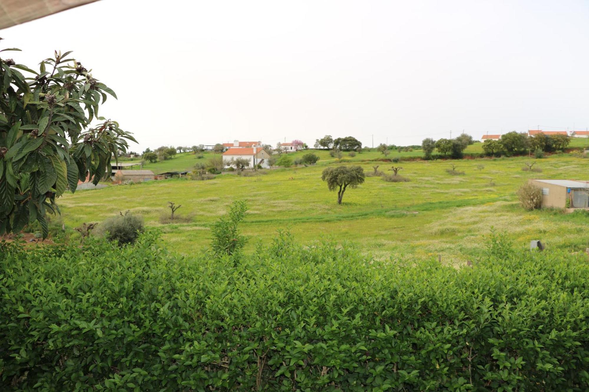 C M Casa De Mares Local